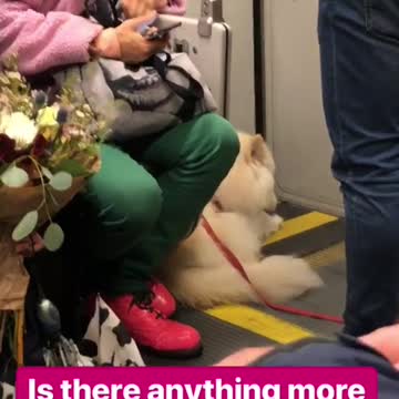 Is there something more sf than this