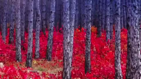 Time with God - January 2