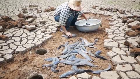 #dryseason fishing #fish full of #my country life