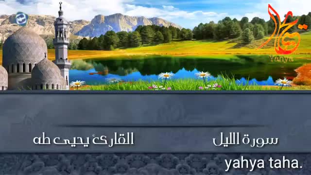 حالات واتساب - سورة الليل - القارئ يحيى طه - صوت رائع