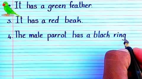 PARROT ESSAY - parrot in English - Parrot -_p4