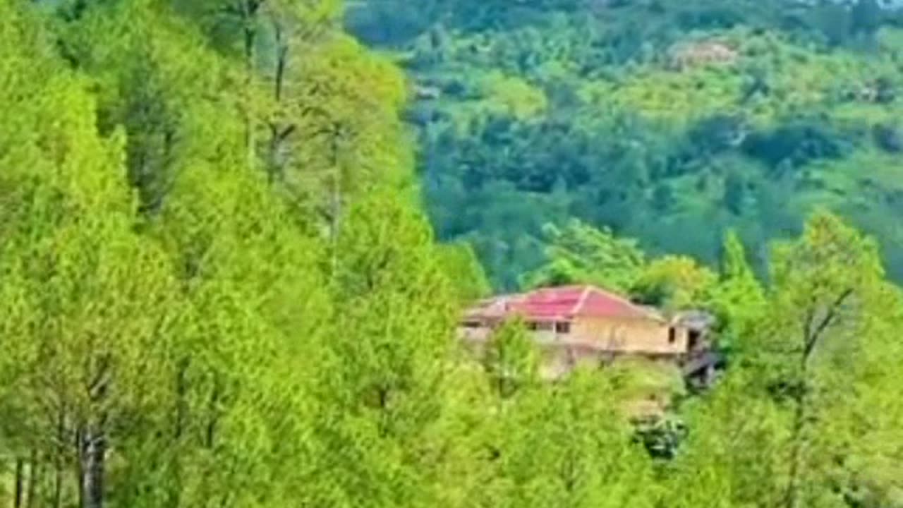 Beautifull video