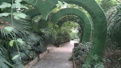 A corridor surrounded by tropical rainforest plants