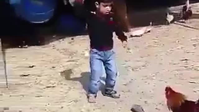 Rooster running after the boy who is terrified of animals