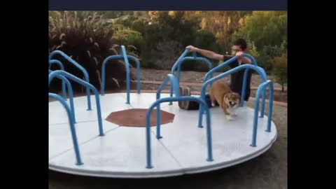 Playing with my don in park