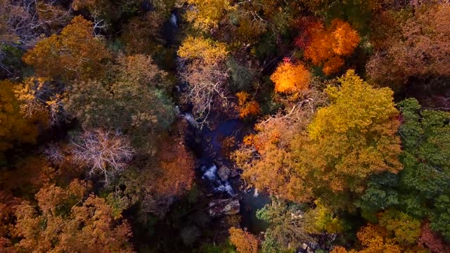 Autumn Along the River