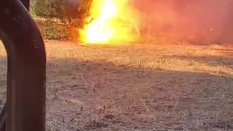 When Tree Falls Into Power Lines