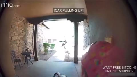 Girl Escapes Bobcat Asks For Help On Ring Camera