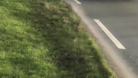 NEW - Dutch truckers drive in a convoy through Friesland, Netherlands