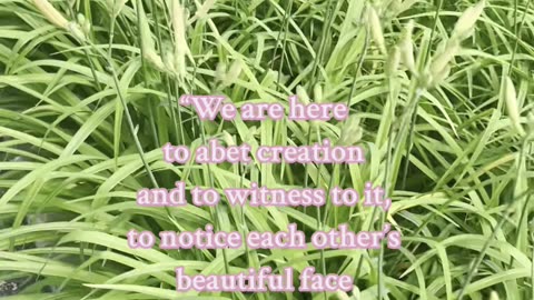 Annie Dillard: Quote 💕
