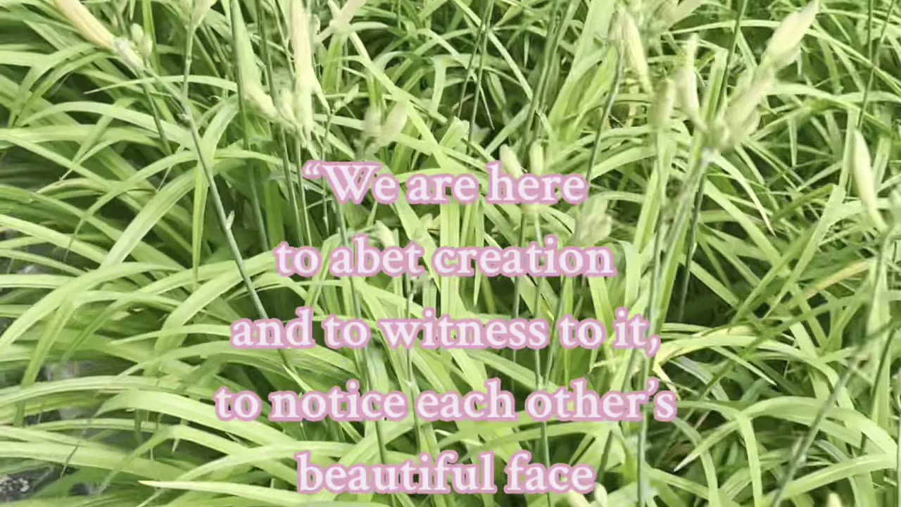 Annie Dillard: Quote 💕