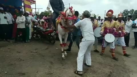 Amazing 🤣😁😁😁 Horse Dance