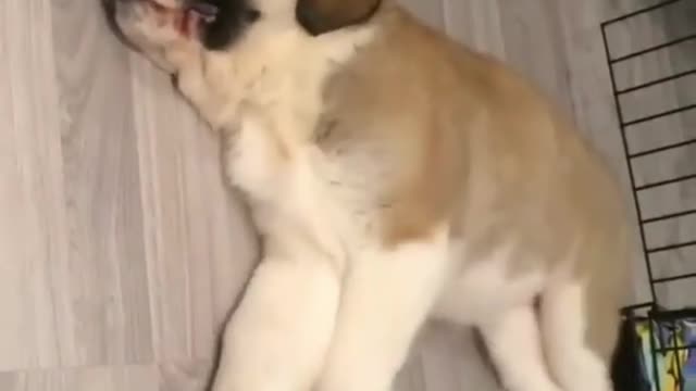 How a bad dream