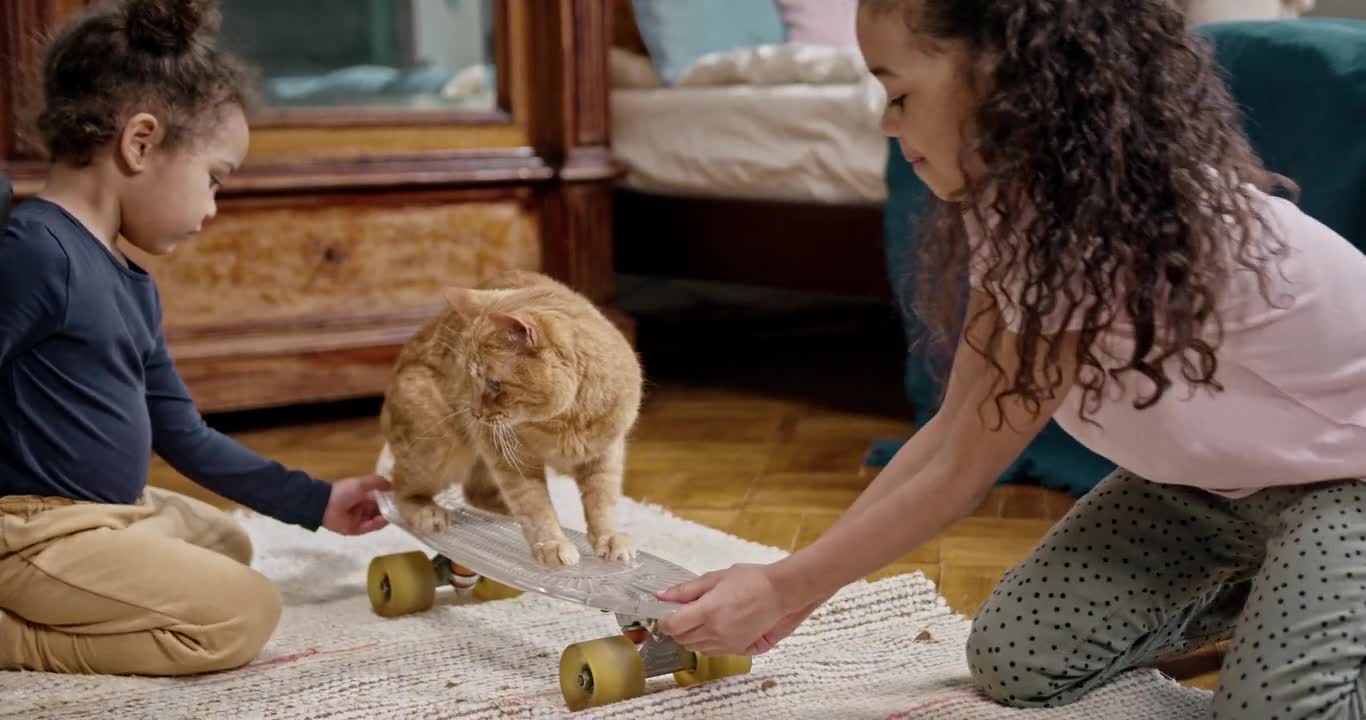 Kids Playing With A Cute Cat