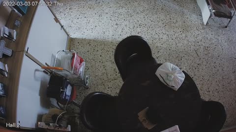 hallmid midnight 20220303