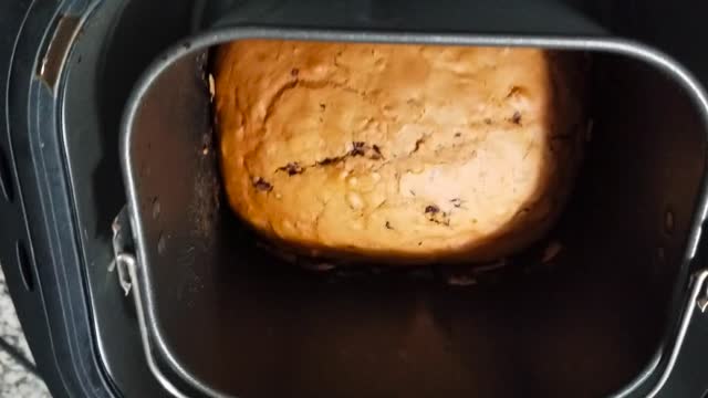 Chocolate Chip Bread