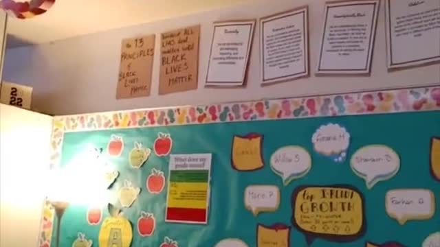 Michigan teacher shows off his classroom full of political propaganda including pride flags