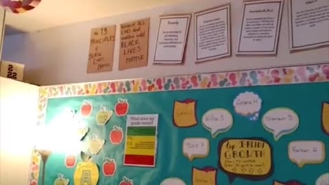 Michigan teacher shows off his classroom full of political propaganda including pride flags