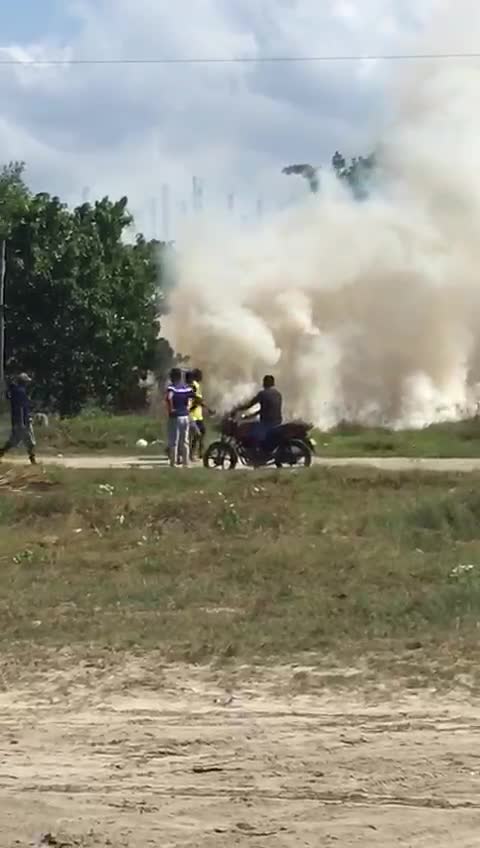 Incendio forestal en La Boquilla