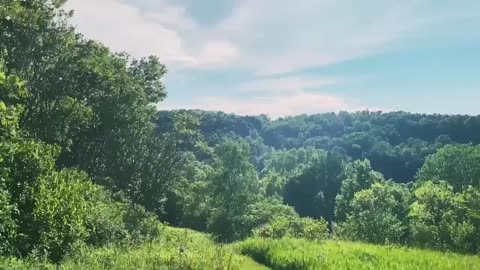 Lil Chimey - Love It ( Music Video )