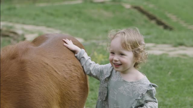 A Toddler Holding the Pony.