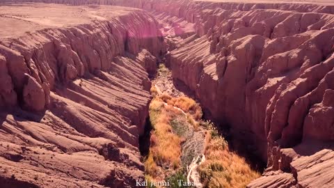 Very beautiful nature of the desert