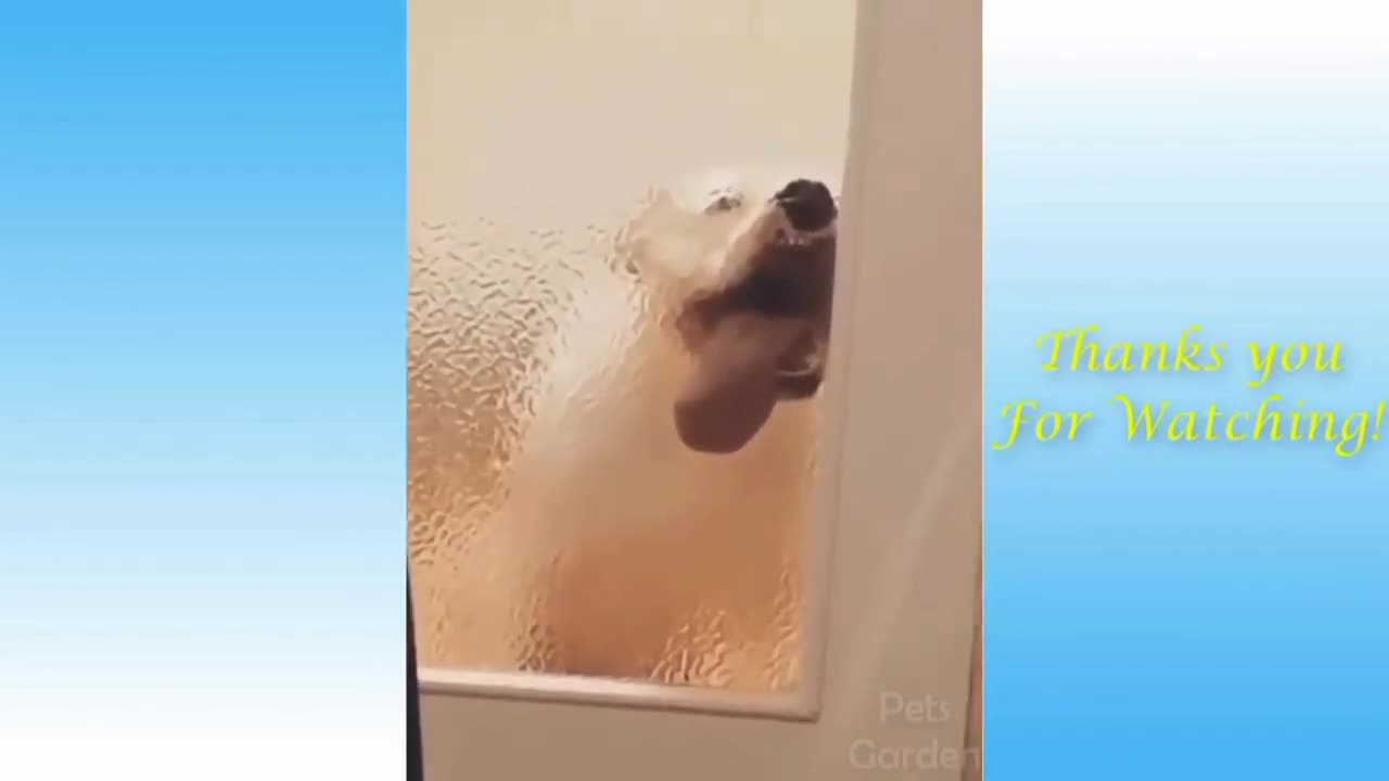 animallovers with #2