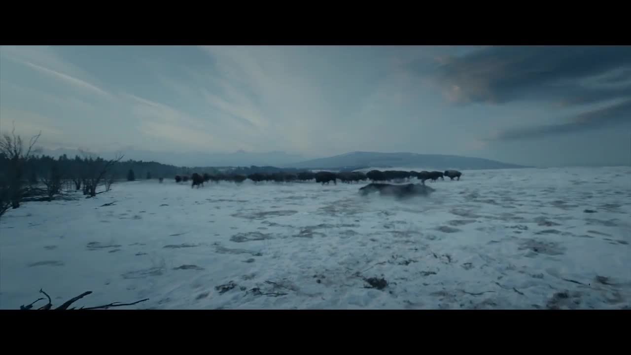 The Beauty of the Revenant