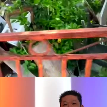 Another SUPER DUPER Pack Rat