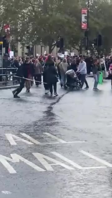 As Bichas Saltitantes Tomaram um Pau em Londres 21/10/23.