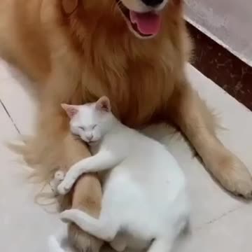 Someone fell in love