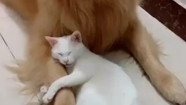 Someone fell in love