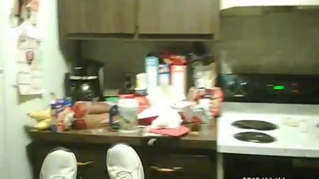 POV Quadriplegic Letting his Boxer out & dancing around house