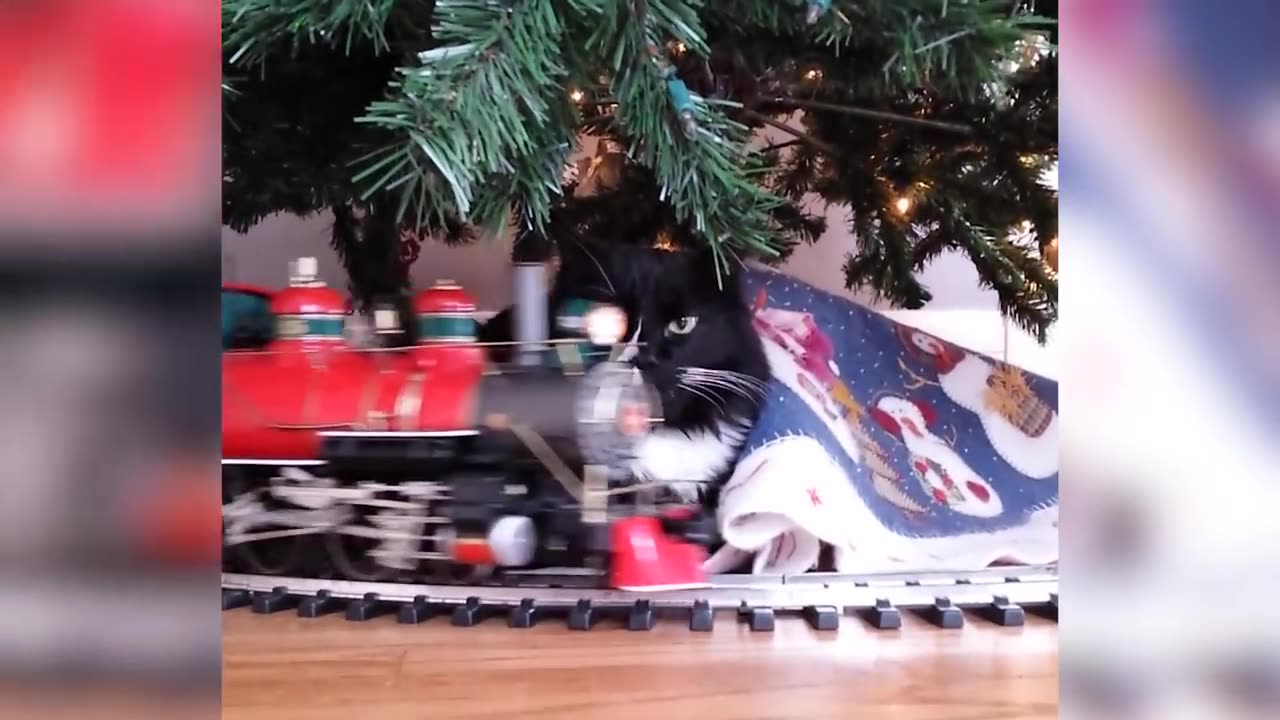 Amazing funny compilations.