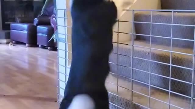 Every morning waiting for her boy