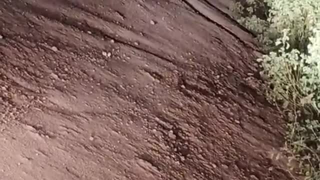 Bhagh ka video