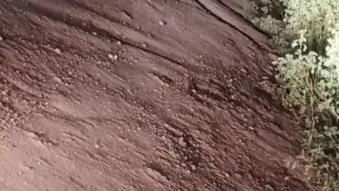 Bhagh ka video