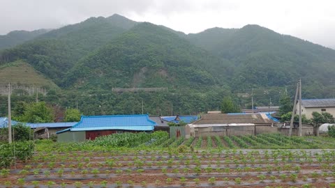 Baekdudaegan Gorge Train