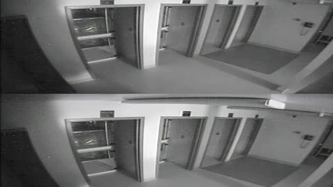 1704CRIB01CribAnalysisArea_2021-01-06_07h00min02s007ms.mp4