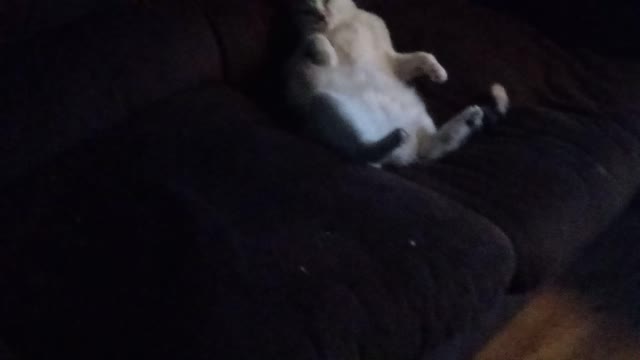 Chillin on the couch