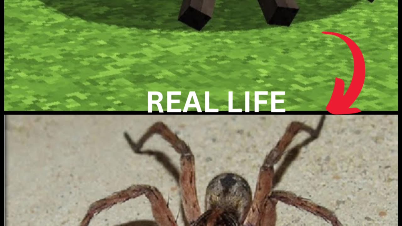 Minecraft Mob in Real Lifen