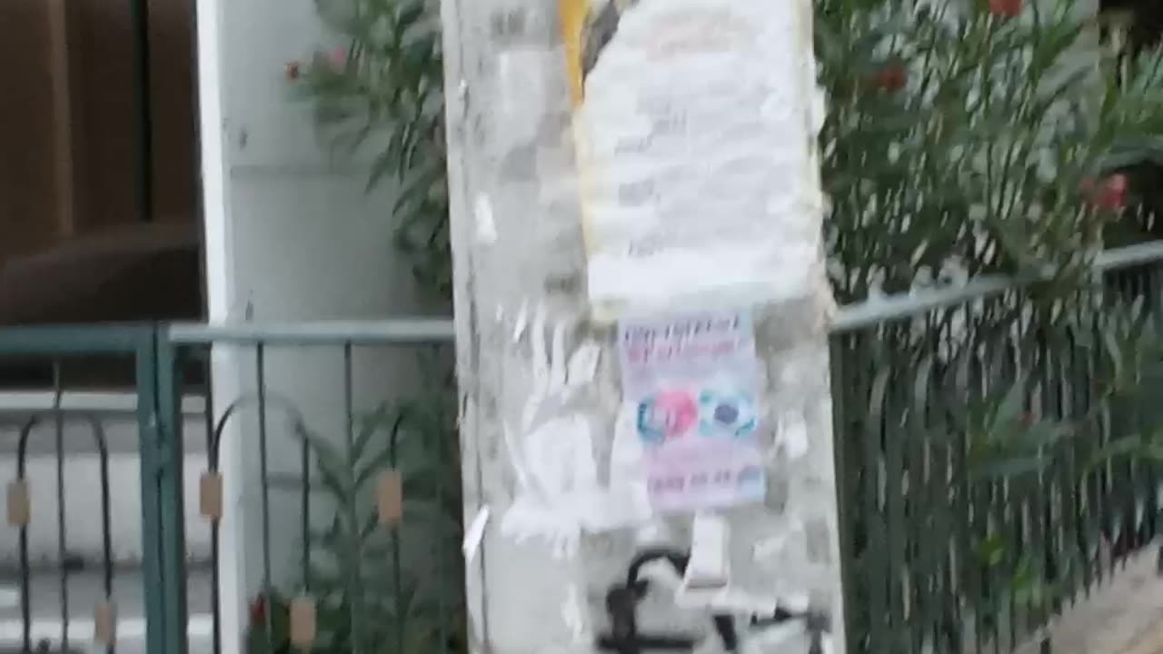 ΚΑΤΩ ΑΠΟ ΤΗΝ ΕΙΚΟΝΑ ΤΗΣ ΠΑΝΑΓΙΑΣ ΚΑΤΟΥΡΑΝΕ ΤΑ ΣΚΥΛΙΑ - ΒΛΑΣΦΗΜΟΙ !!!