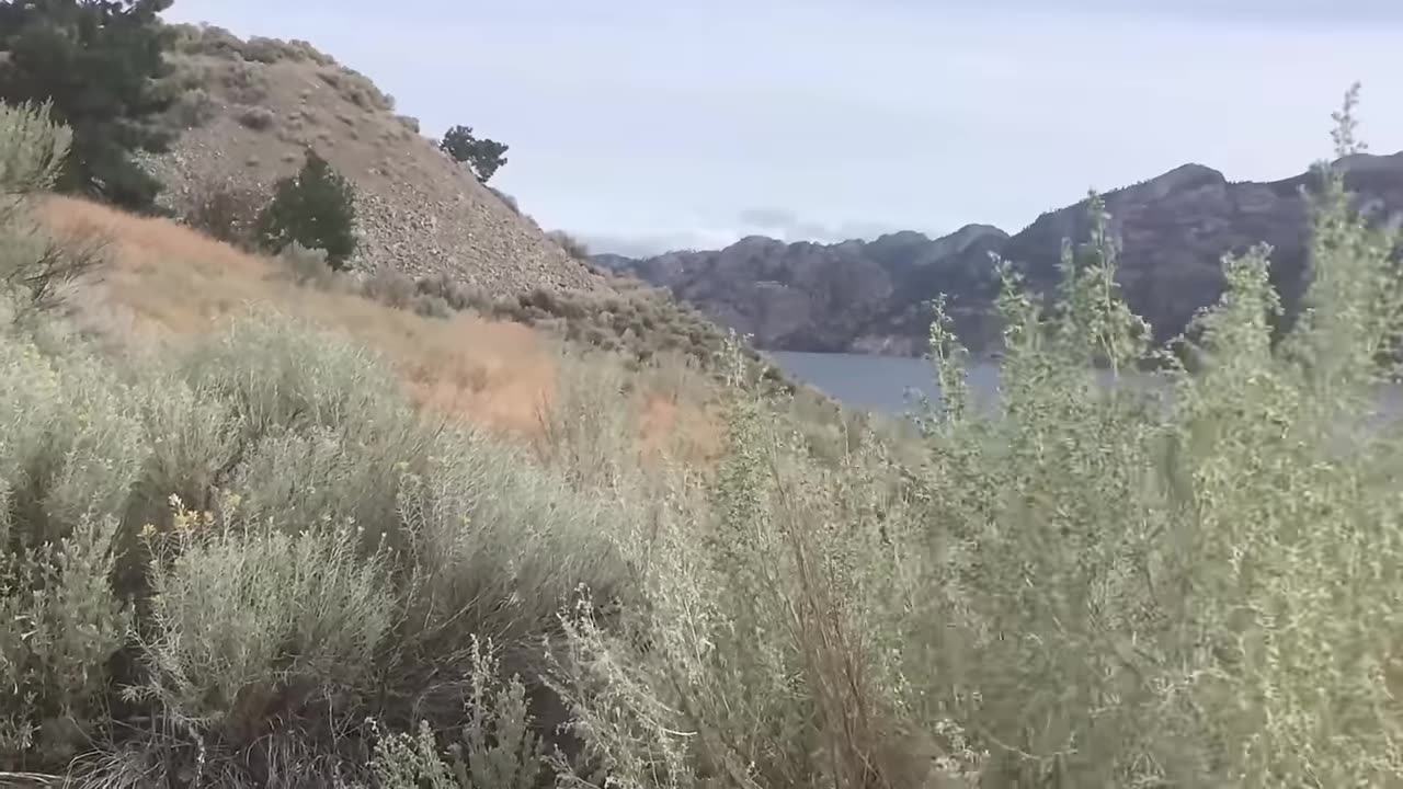 Ogopogo： Canada's Loch Ness Monster