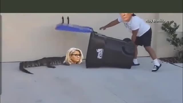 Trump and Cheney. 😂