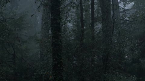 Relaxing Rain