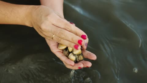 Collecting clams from a river