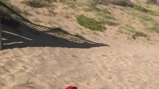 Guy does a front flip off balcony and lands face first in sand