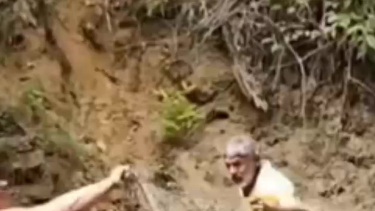 Electric Eel Shock, How Dangerous Can Electric Eel Be in The River?
