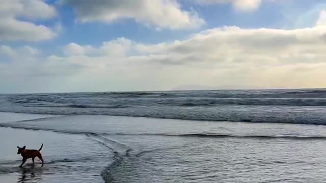 The beach by the sea, the moment of life