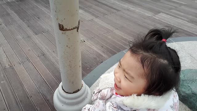 Baby and scary seagull